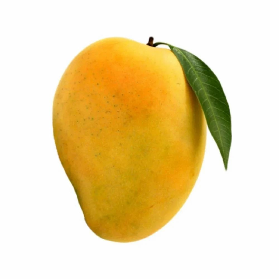 A Grade Fresh Mango – Sweet, Juicy & Naturally Ripened