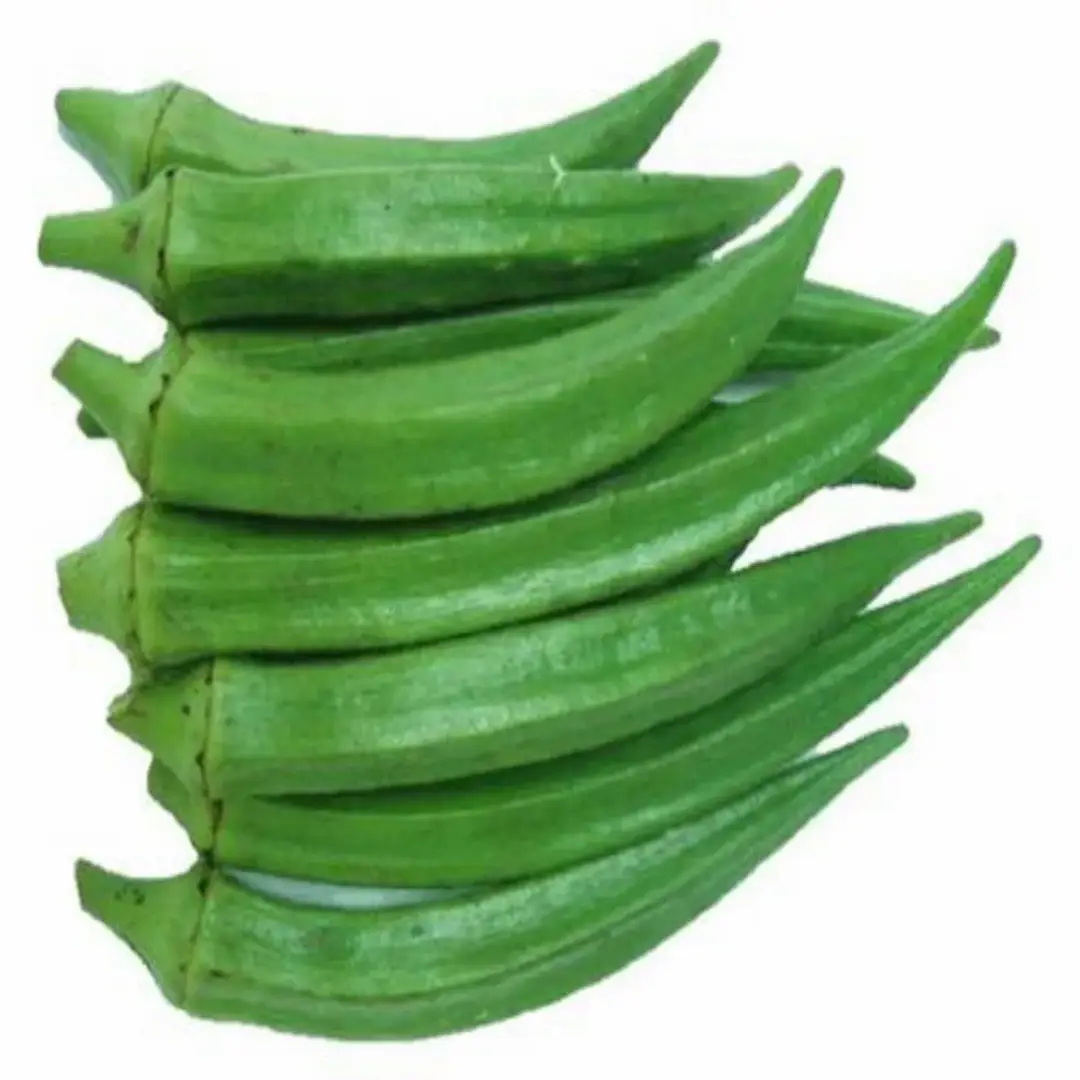 Dark Green A Grade Fresh Okra Lady Finger - Premium Quality